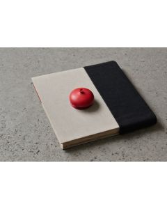 43-redaction-pen