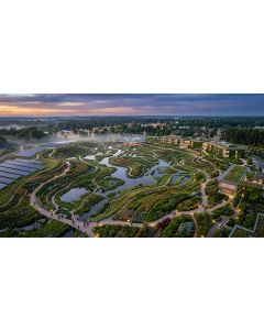 80-global-landscaping