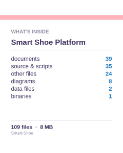 Smart-Shoe