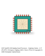 AutoPhi V20-Sapling Voxel Processor -- Epiphany Series #207