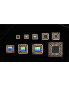 AutoPhi V18-Seed Voxel Processor -- Seed Series #1