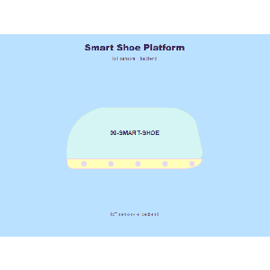 Smart Shoe Platform — Complete Proof of Function Package (10 docs)