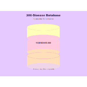 300-Disease Mechanism Analysis — Complete Proof of Function Package (3 docs)