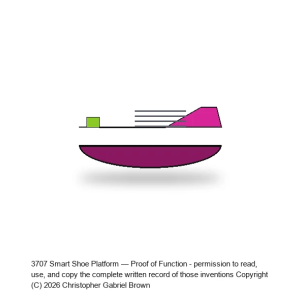 Smart Shoe Platform — Proof of Function #1
