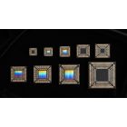 AutoPhi V18-Seed Voxel Processor -- Seed Series #1